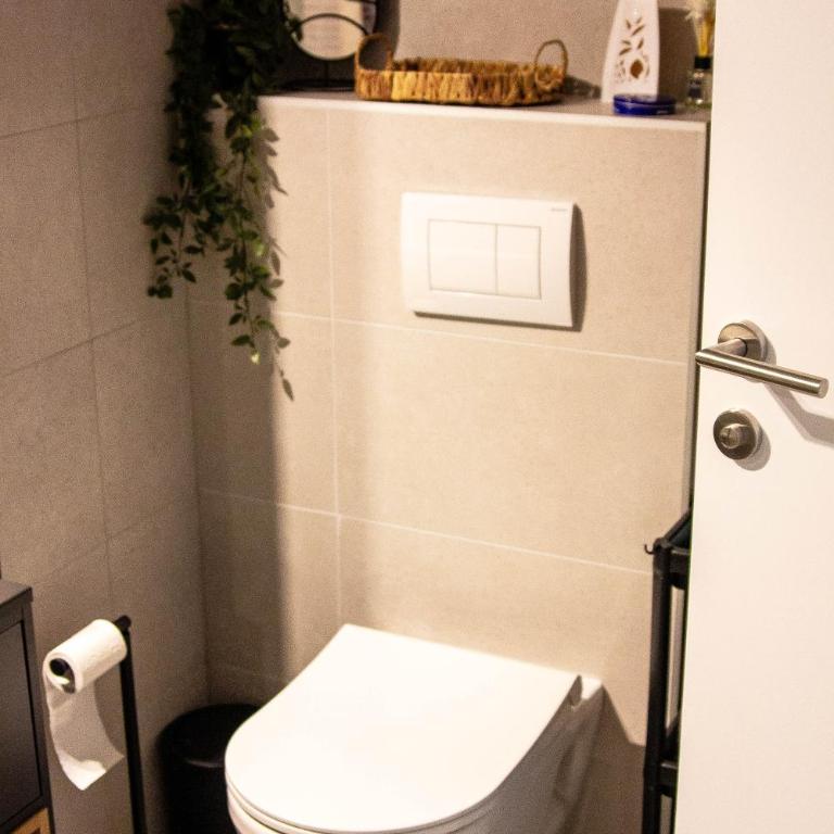 LisaMe Apartman Airport - Apartman sa 1 Spavaćom Sobom - 21