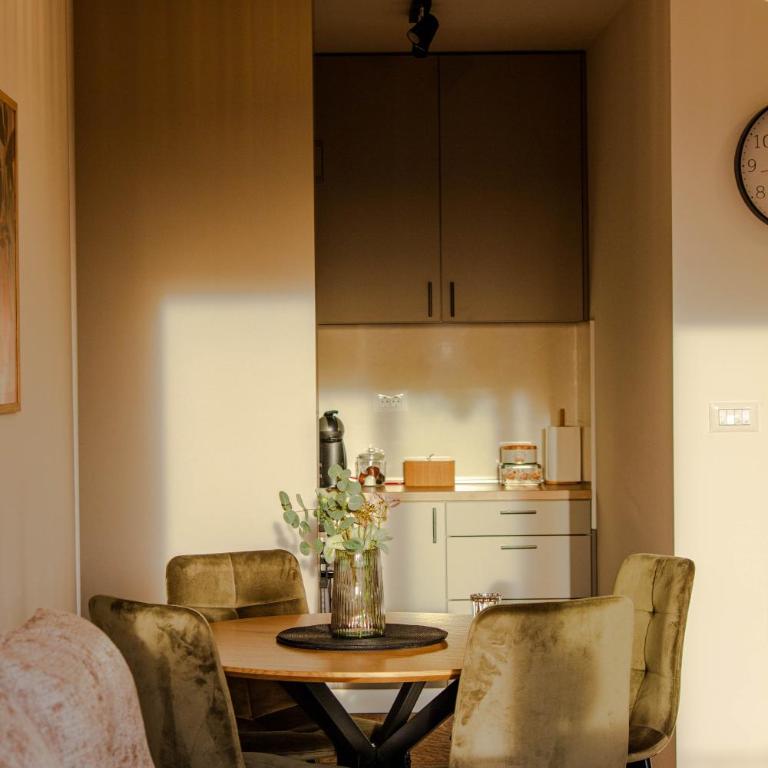 LisaMe Apartman Airport - Apartman sa 1 Spavaćom Sobom - 24