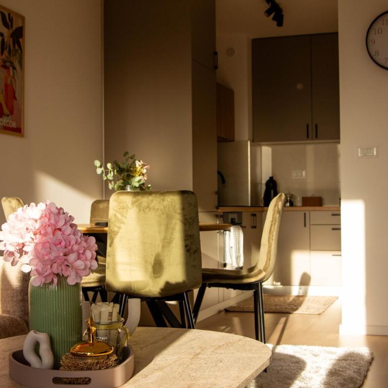 LisaMe Apartman Airport - Apartman sa 1 Spavaćom Sobom - 27