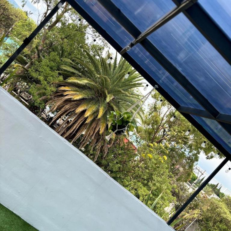 Apartment with terrace near CDMX Airport - Apartamento Clásico - 10