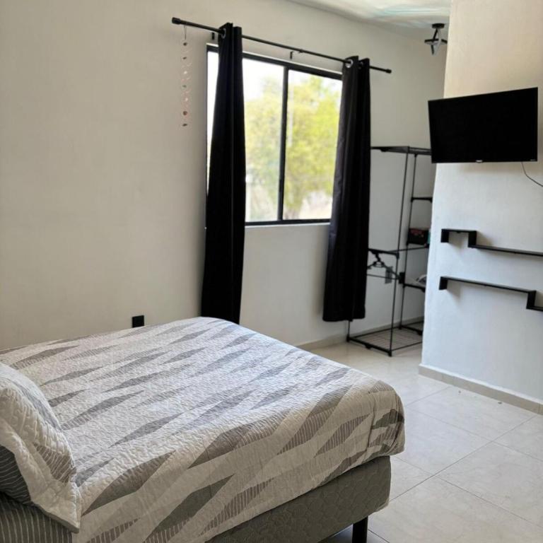 Apartment with terrace near CDMX Airport - Apartamento Clásico - 18