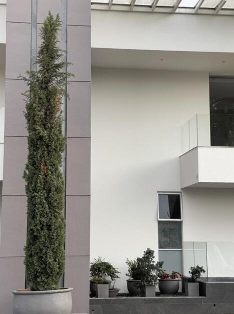 Lujosa Villa Campestre Tranquilidad Cerritos Wifi - Villa Deluxe - 81