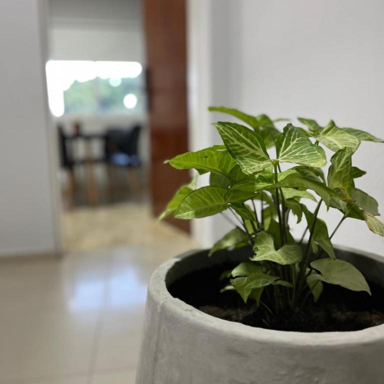 Monoambiente Guemes PB para 2 personas - Apartamento de 1 dormitorio - 21