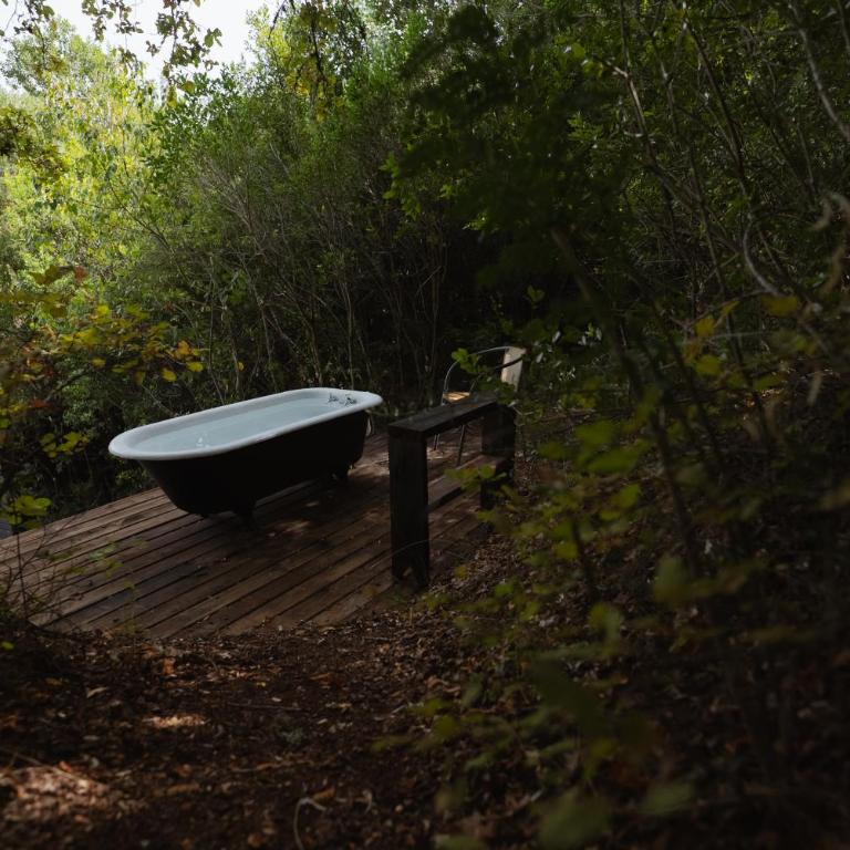 Casa orilla Lago Colbun en Bosque Nativo - Casa de 3 dormitorios - 21