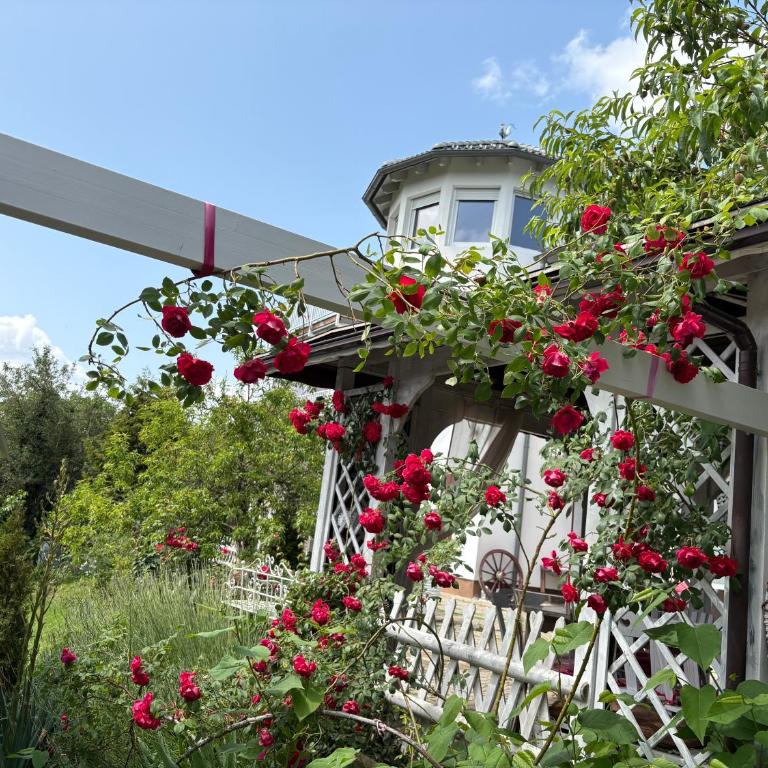 Apartments Let Me In - Apartment mit 2 Schlafzimmern und Terrasse - 17