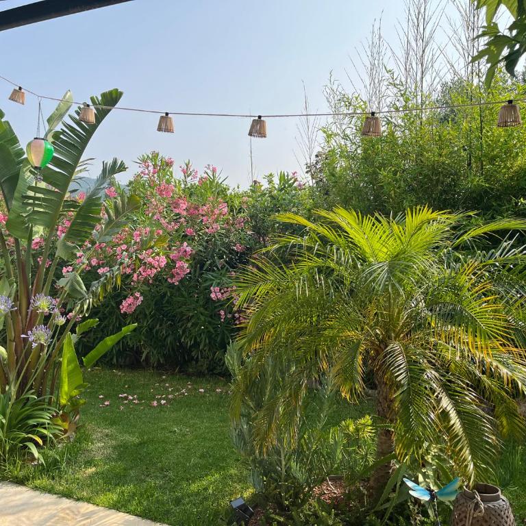 Laurier - Villa con Piscina Privata - 10
