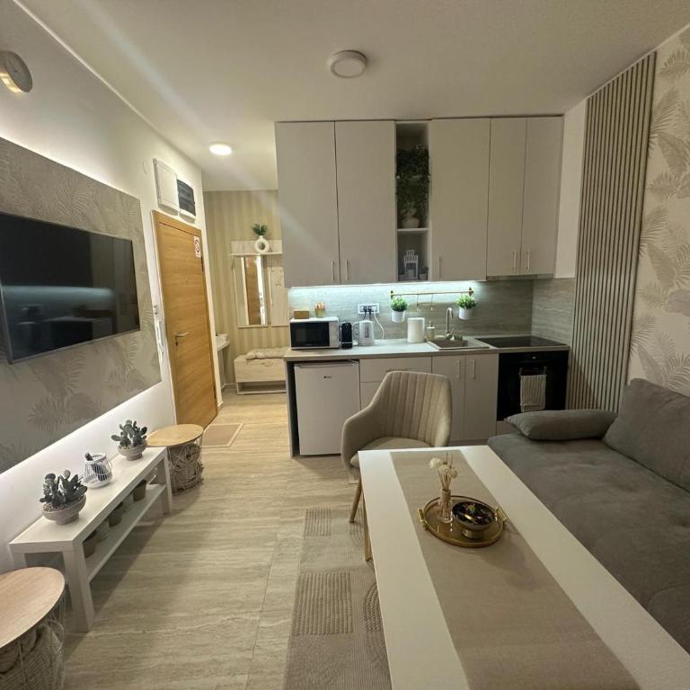 Gold LUX - Apartman sa 1 Spavaćom Sobom - 12