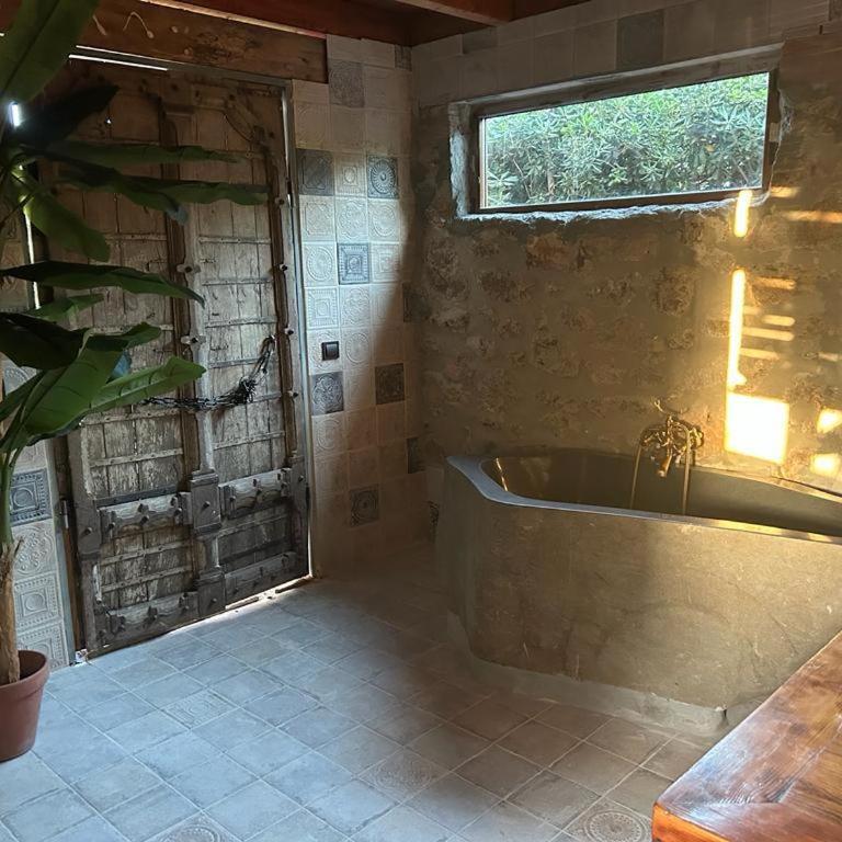 Cortijo Boutique Marbella - Lodge - 31