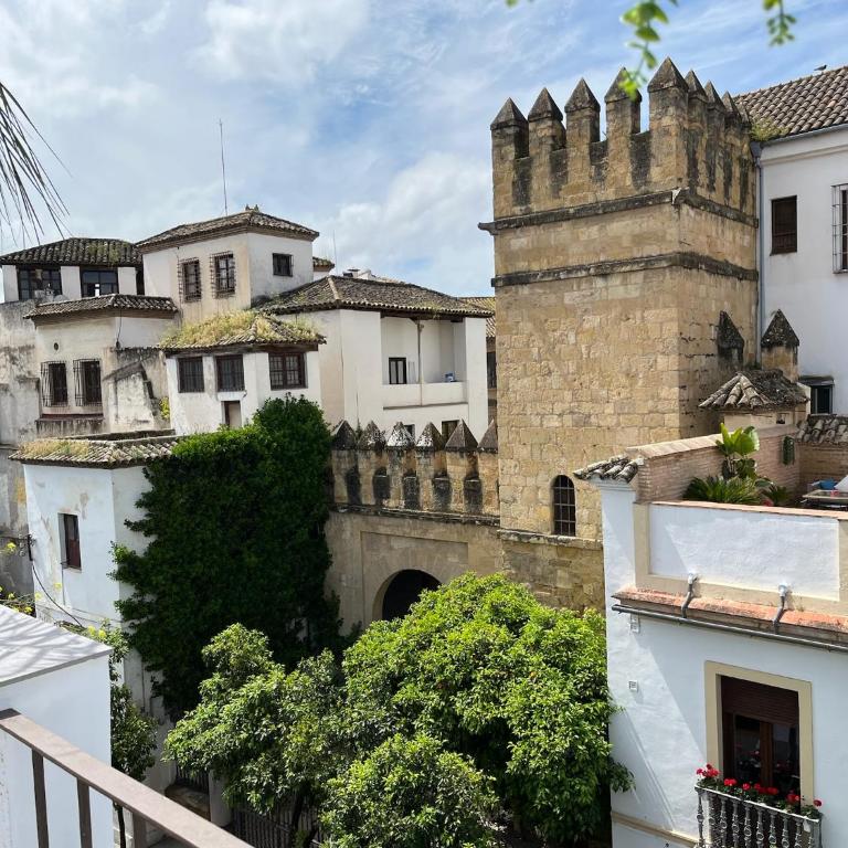 Loft Balcones de la Judería - Apartamento de 1 dormitorio - 16