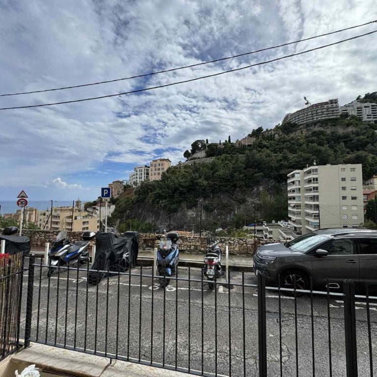 Joli appartement 2 pièces à 5 min de Monaco - Apartment mit 1 Schlafzimmer - 4