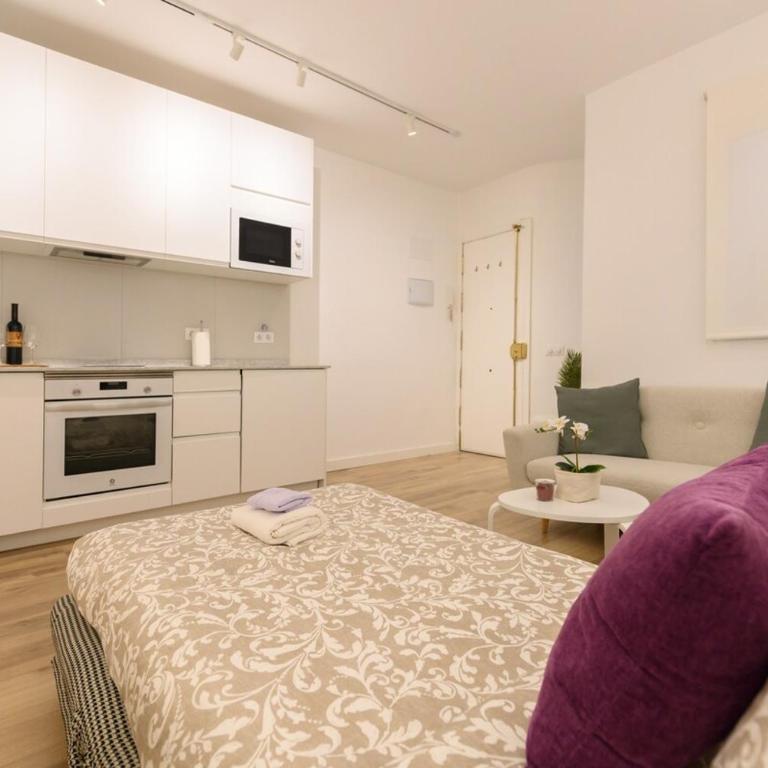 1 bedroom apartment in the center of Madrid Temporary GDO41 - Apartamento de 1 dormitorio - 27