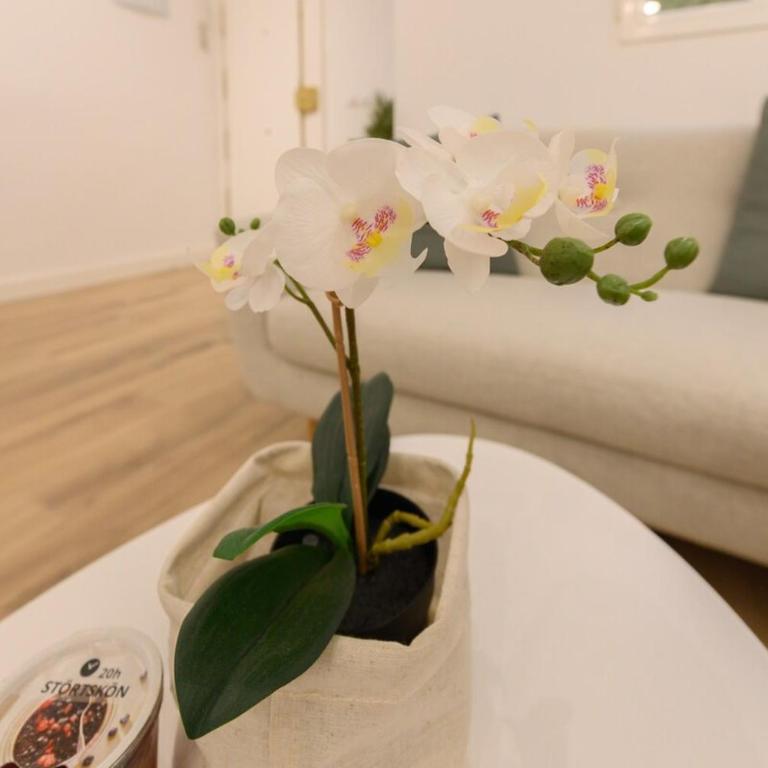1 bedroom apartment in the center of Madrid Temporary GDO41 - Apartamento de 1 dormitorio - 7