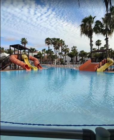 Mirada al Sol by LEIMMA en Oasis Duna - One-Bedroom Apartment - 8
