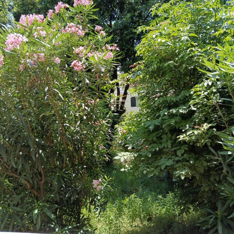 Apartment Savina - Studio Apartment - 6