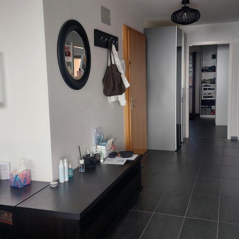 Sweet home avec vue incroyable lac leman! A l'entrée du Lavaux et proche lausanne - Apartment mit 2 Schlafzimmern - 14