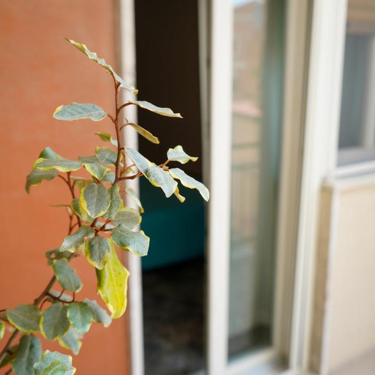 B&B La Dimora di Rosa - Ampia Camera Matrimoniale - 17