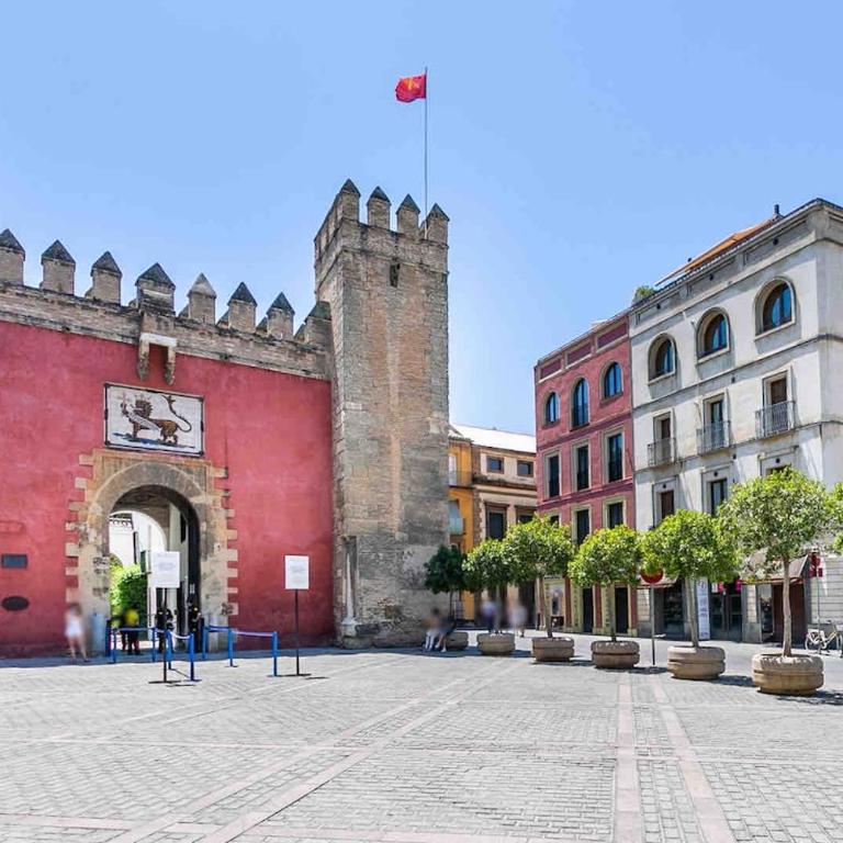 Spacious apartment historic center Santa Cruz - Apartamento de 3 dormitorios - 3
