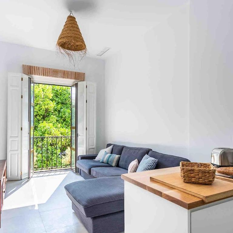 Spacious apartment historic center Santa Cruz - Apartamento de 3 dormitorios - 5