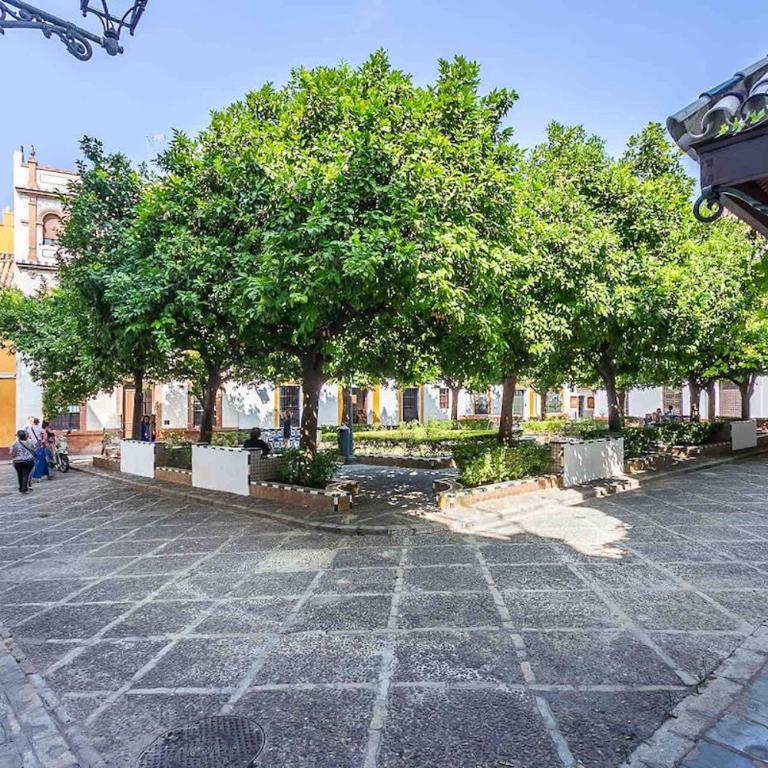 Spacious apartment historic center Santa Cruz - Apartamento de 3 dormitorios - 16