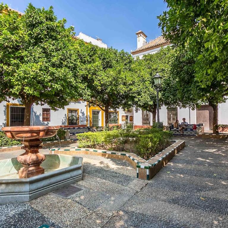 Spacious apartment historic center Santa Cruz - Apartamento de 3 dormitorios - 32