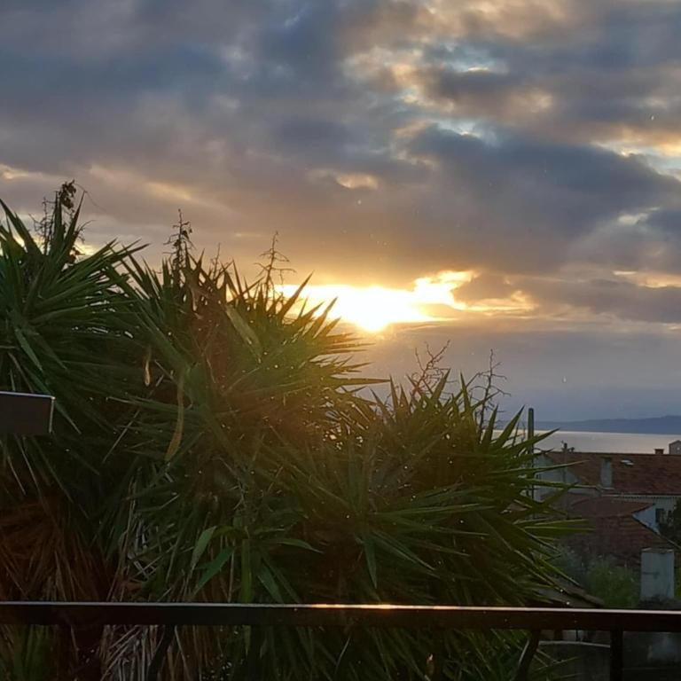Parenthèse méditerranéenne - vue mer & terrasse - Appartamento con 2 Camere da Letto, Balcone e Vista mare - 22