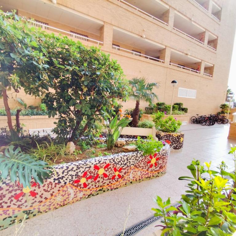 Milion Destiny Costa Azahar I - Apartamento de 2 dormitorios - 51