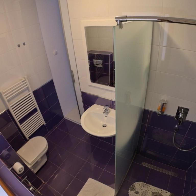 ĆIRO HOTEL -free parking - Trokrevetna soba sa Bračnim Krevetom (King-size) - 10