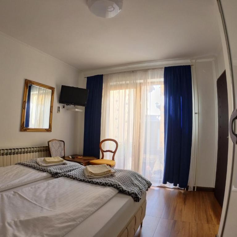 ĆIRO HOTEL -free parking - Deluks Soba sa Bračnim Krevetom (King-size) - 13