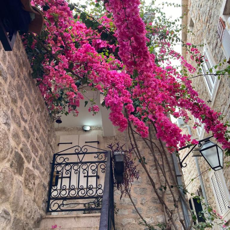 Budva City De Lux - Apartman sa 1 Spavaćom Sobom - 19