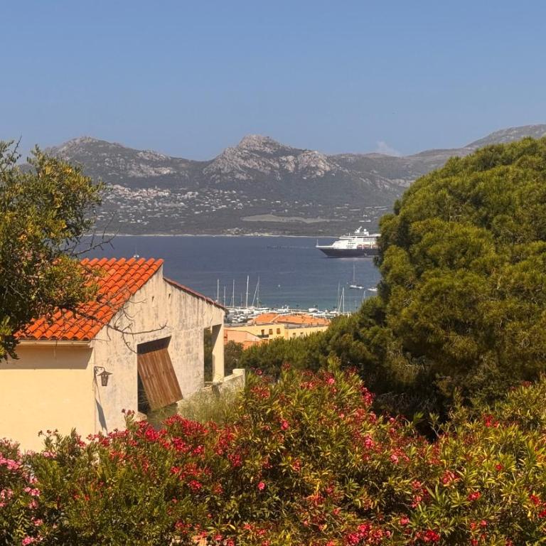 T2 Les Aloes - Appartement - Vue sur Mer - 11