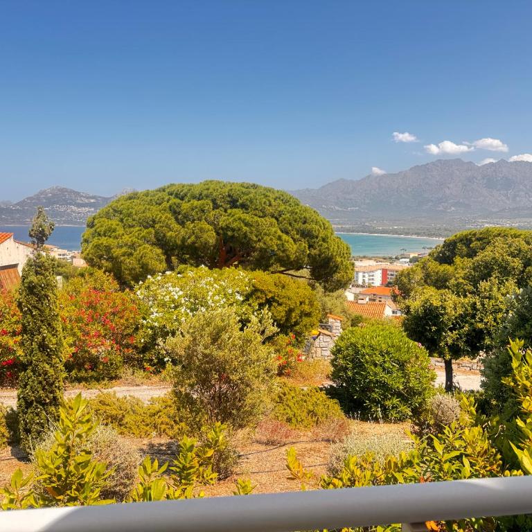 T2 Les Aloes - Appartement - Vue sur Mer - 28