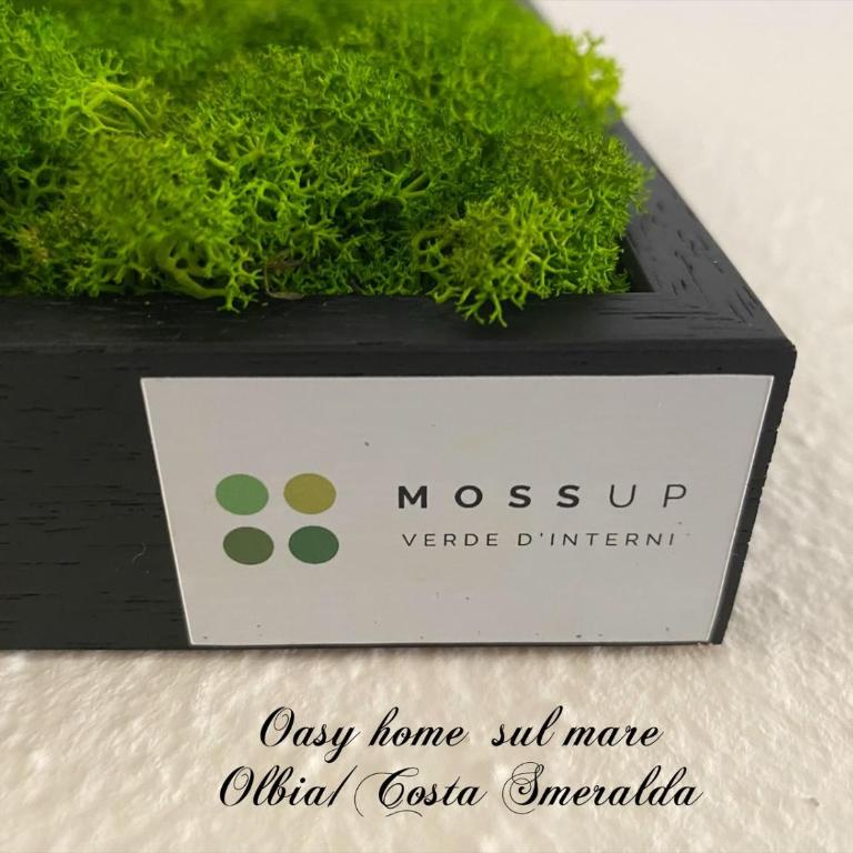 Oasy Home sul mare - Appartamento con 1 Camera da Letto e con Giardino - 32