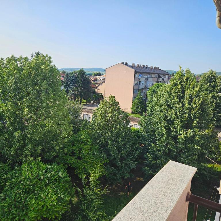Apartman Annie - One-Bedroom Apartment - 17