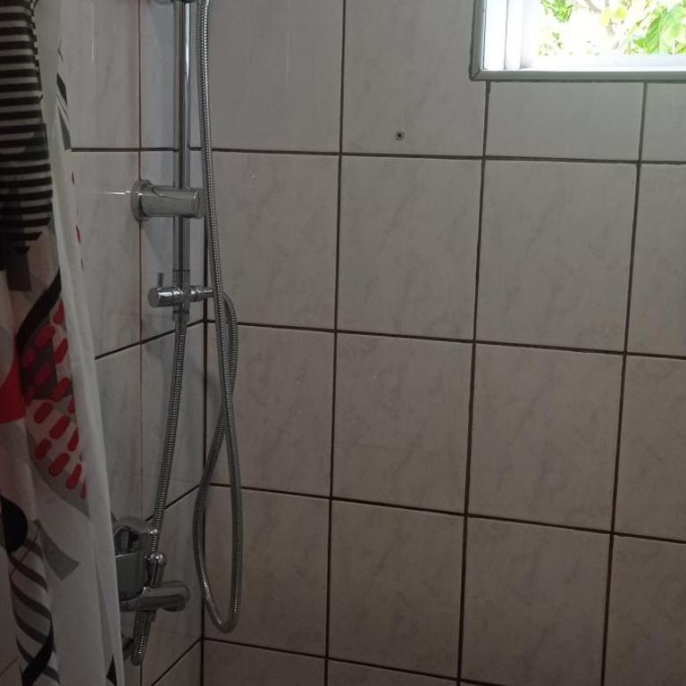 Vila Zlaja - Vila sa 3 Spavaće Sobe - 3