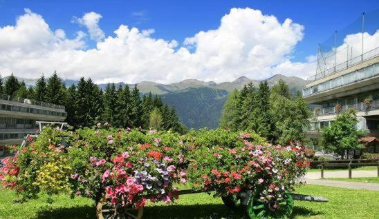 Parcheggio privato, Natura, relax e avventura a Marilleva 1400 - HU - Appartamento con 2 Camere da Letto e con Vista Montagna - 27