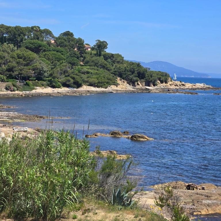 Appartement 4 personnes dans domaine privé, calme, plage - Appartamento con 1 Camera da Letto - 31