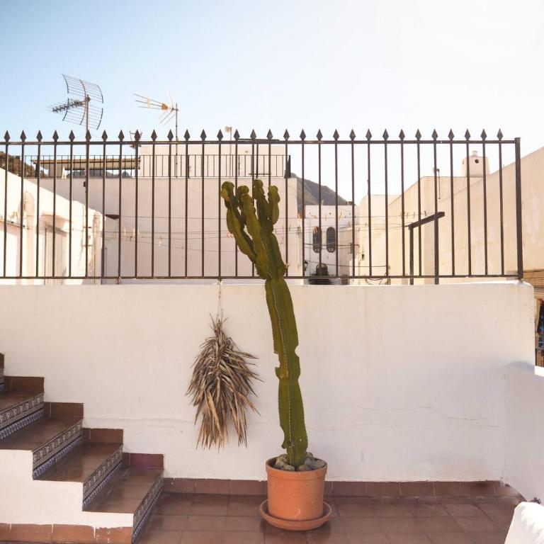 Casa Augustin, village house in Mojacar Pueblo - Casa de 2 dormitorios - 16