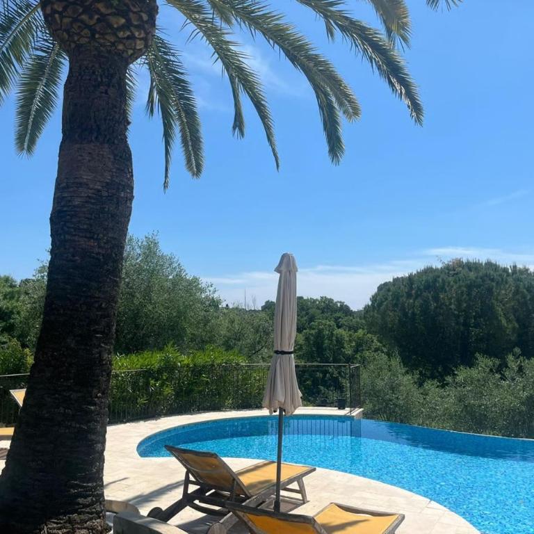 LE KEY WEST maison de charme avec splendide jardin et piscine magnifique, Mougins près de Cannes - Villa - 13