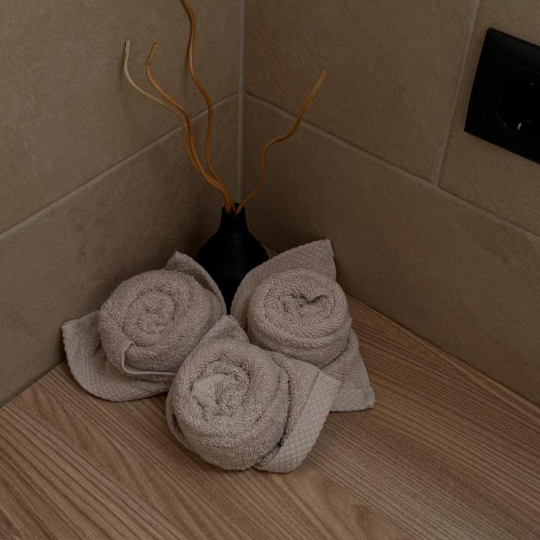 Törggelehof Lana - Appartamento con 1 Camera da Letto e Terrazza - 7