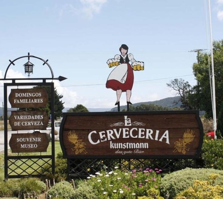 Preciosa vista Río Cruces mejor barrio de Valdivia - Apartamento de 1 dormitorio - 22