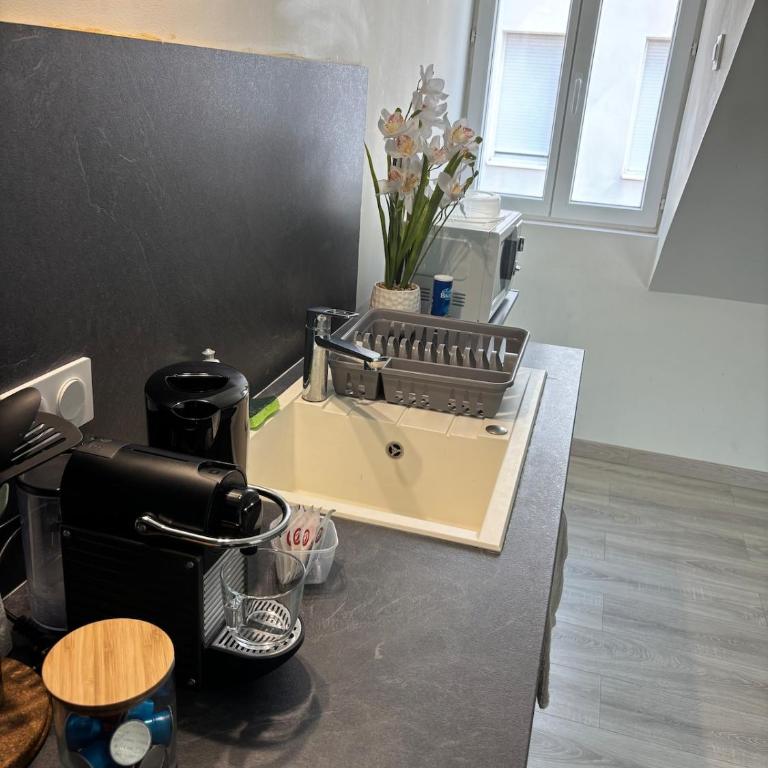 Charming Plant Studio - Apartment mit 1 Schlafzimmer - 4