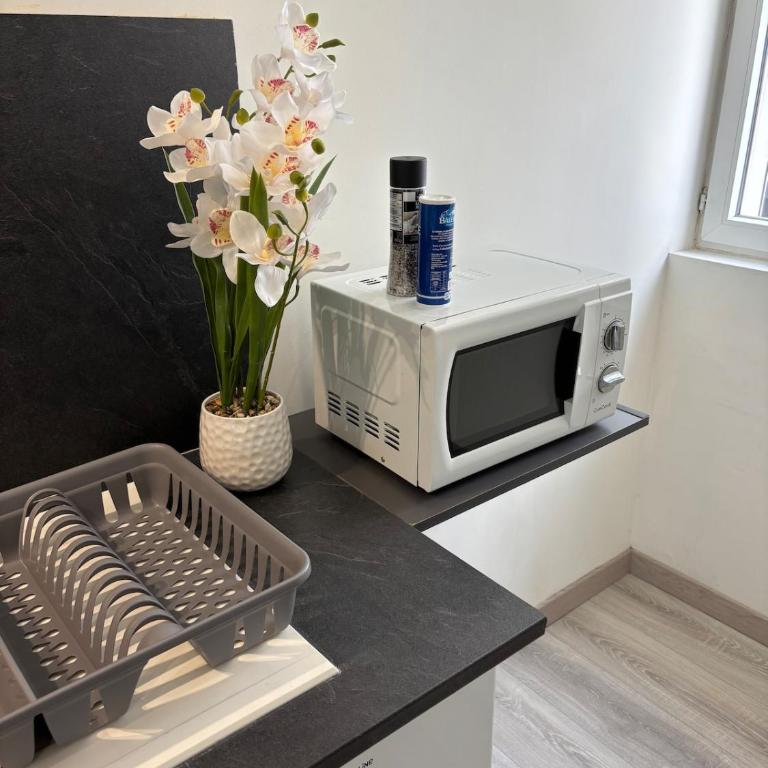 Charming Plant Studio - Apartment mit 1 Schlafzimmer - 50