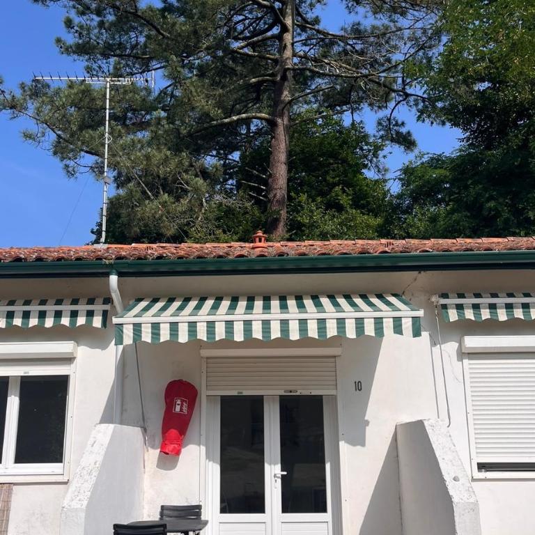 Les Pastourelles - Studio avec Vue sur Jardin - 1