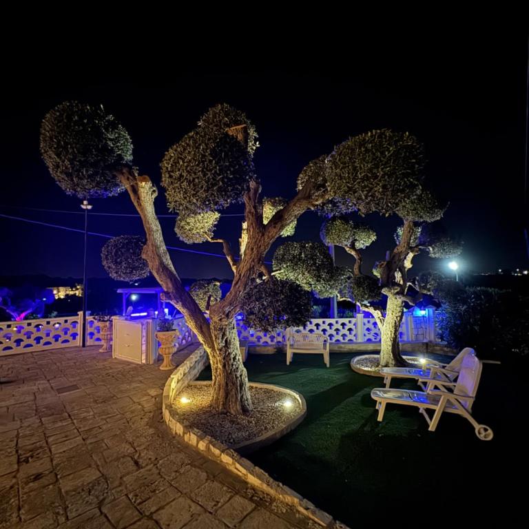 Regina di Puglia Casa Vacanze - Casa con 3 Camere da Letto - 31