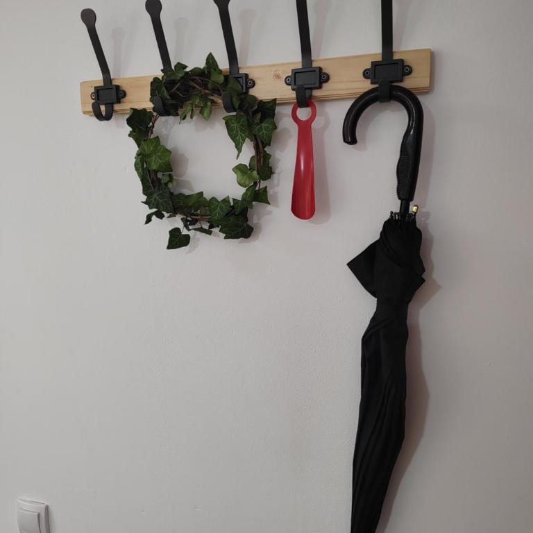 Apartman Ingrid - Apartman sa 1 Spavaćom Sobom - 18