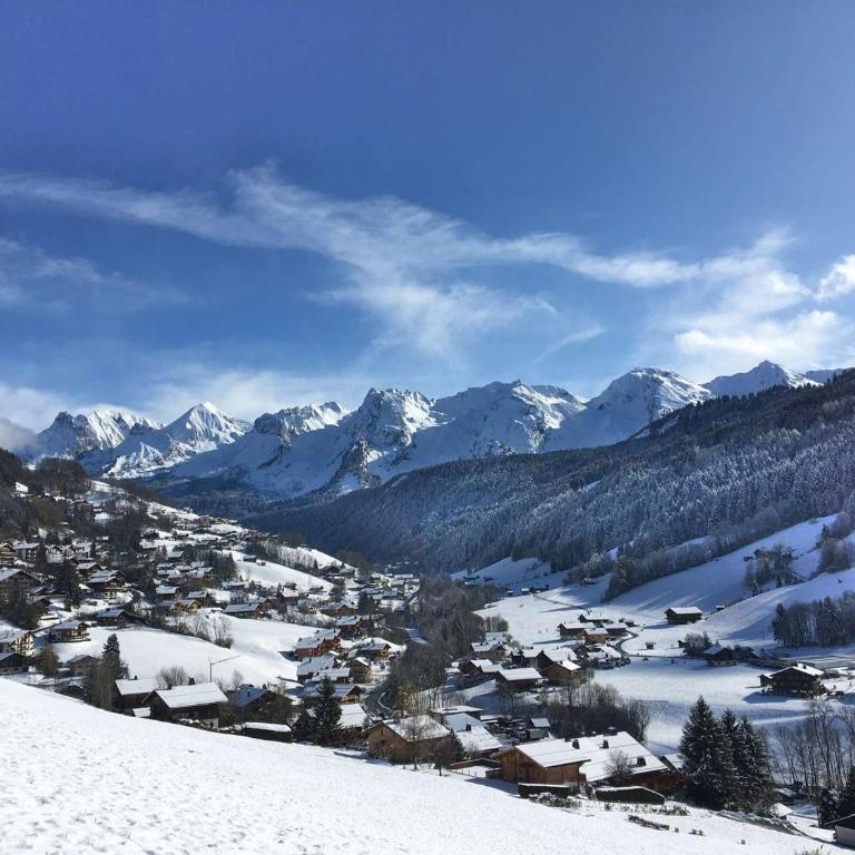 Studio confortable 4 pers. au Grand-Bornand avec balcon et garage - FR-1-458-191 - Studio - 11