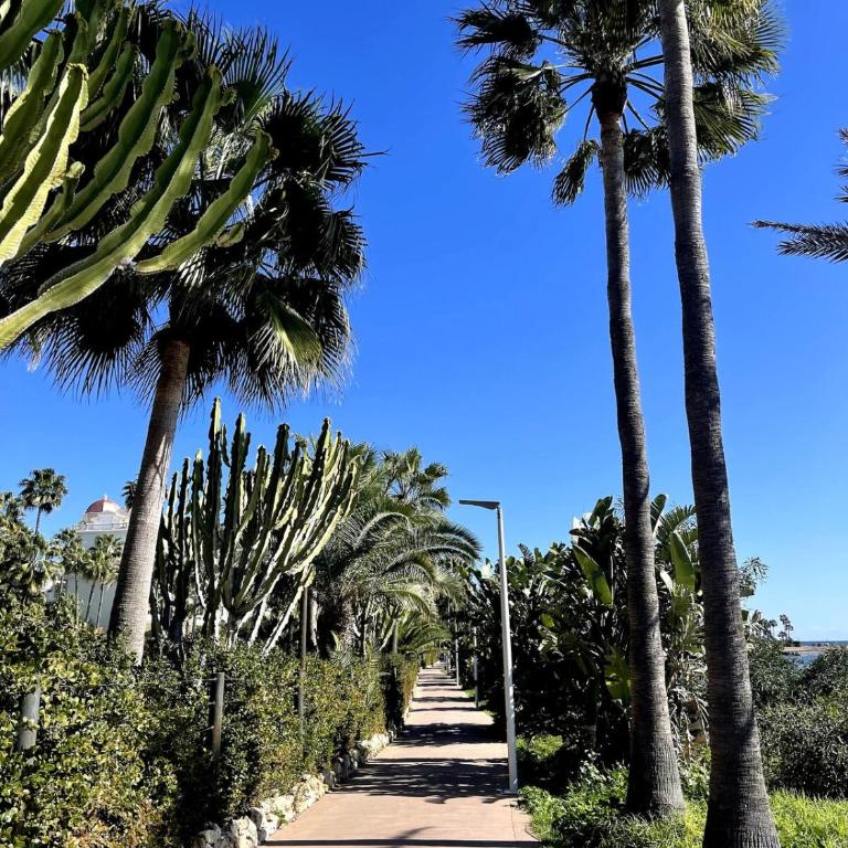Naranja Cozy Studio 1min walk to Beach by AllStay - Apartamento de 1 dormitorio - 13