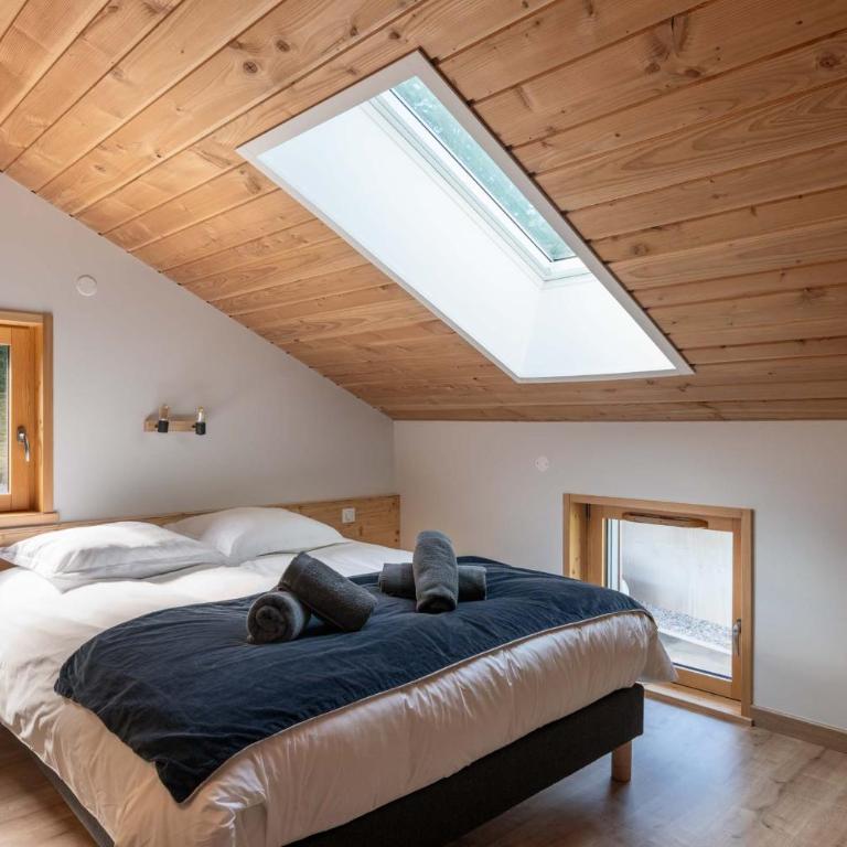 Chalet L'Urson, spacieux, jacuzzi, hammam et sauna - Chalet - 27