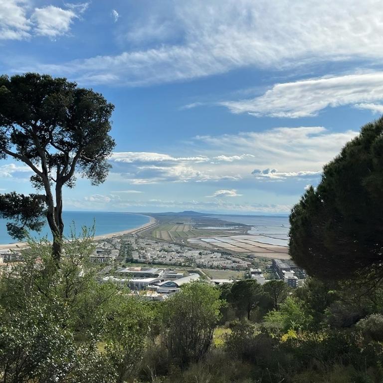 En cœur de ville et climatisé - Le Off Sète - Apartamento - 28