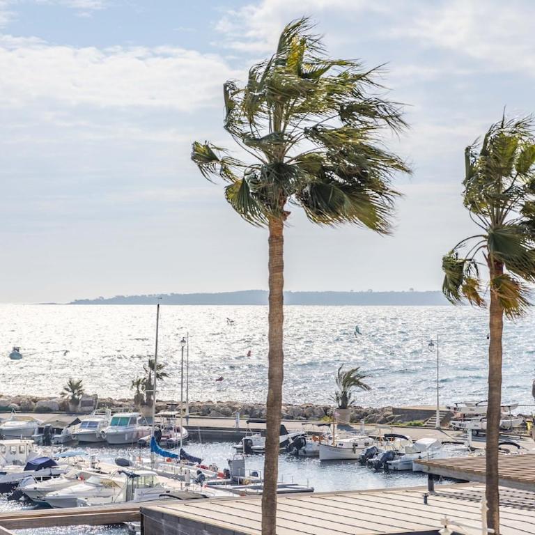 Palm Beach SEA Cannes - Appartement 1 Chambre - 8